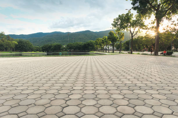 Best Driveway Paving Contractor  in Millersville, TN